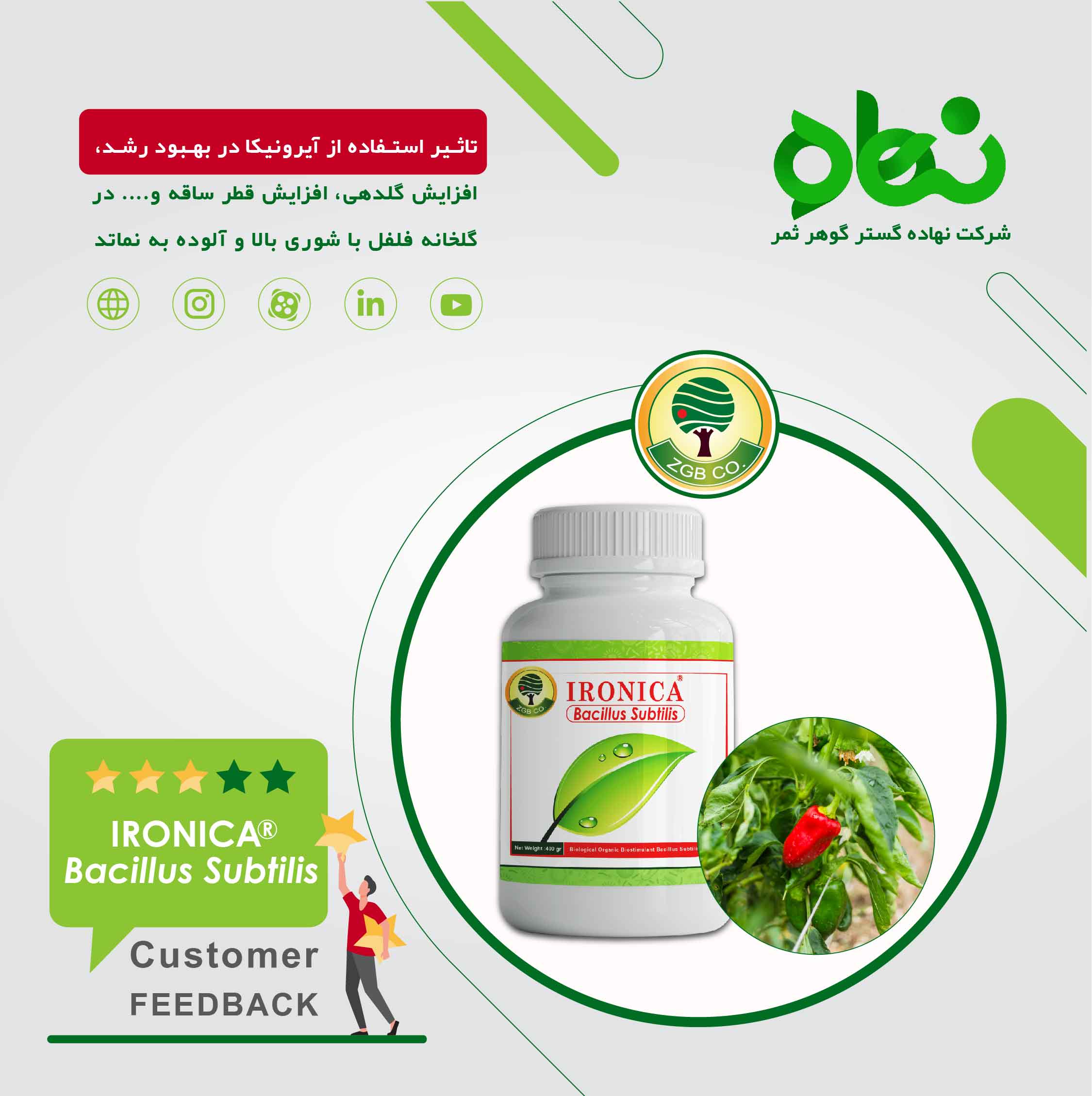 The effect of using Ironica